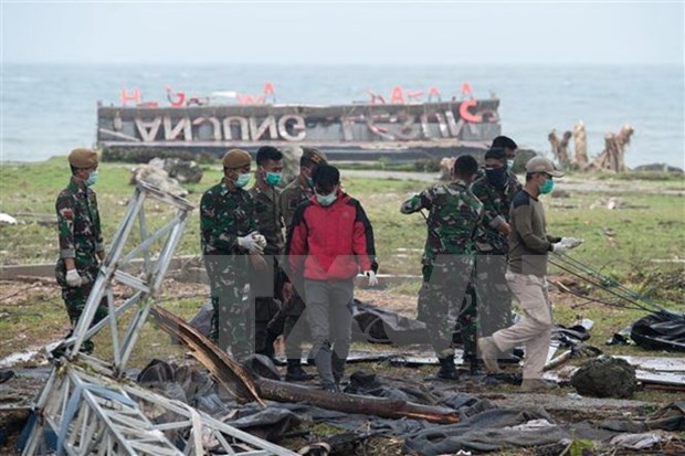 Indonesia utiliza drones y perros para localizar a sobrevivientes del tsunami hinh anh 1
