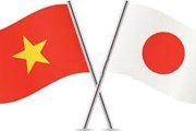 Vietnam y Japon fortalecen cooperacion en defensa hinh anh 1
