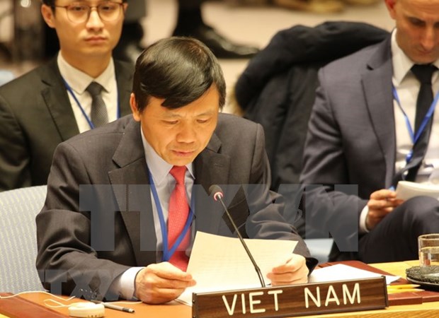 Exhorta Vietnam a cumplir resoluciones de la ONU sobre Medio Oriente hinh anh 1