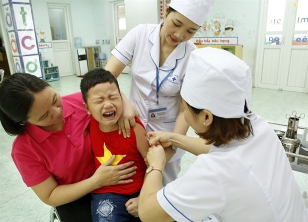 Advierte Ministerio de Salud de Vietnam sobre enfermedades de primavera hinh anh 1