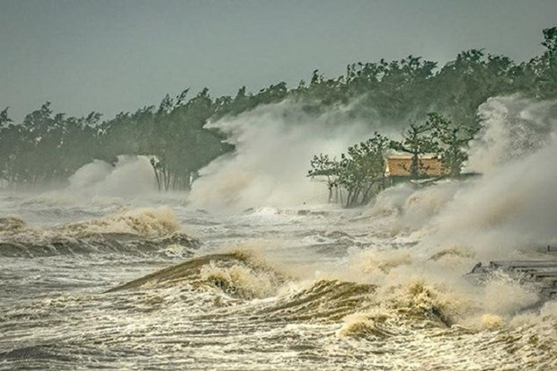 Gana Vietnam primer premio del concurso de fotos sobre el clima en la region de los tifones hinh anh 1