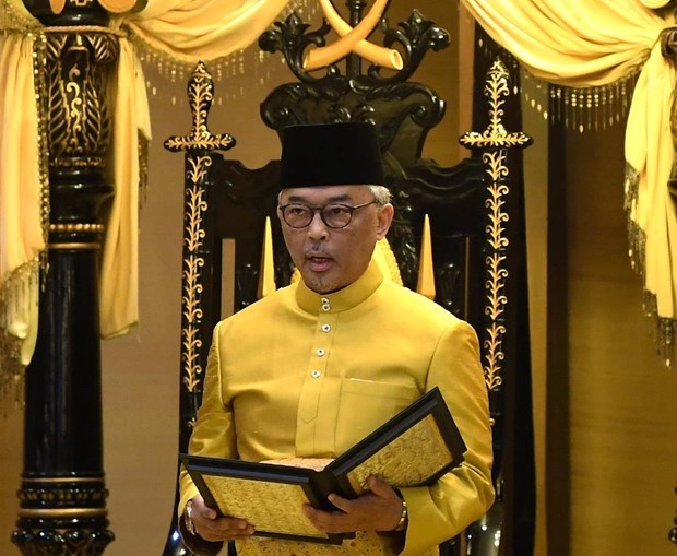 Insta nuevo rey de Malasia a la unidad nacional durante sesion parlamentaria hinh anh 1