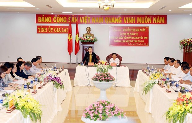 Presidenta del Parlamento vietnamita revisa situacion socioeconomica en provincia de Gia Lai hinh anh 1