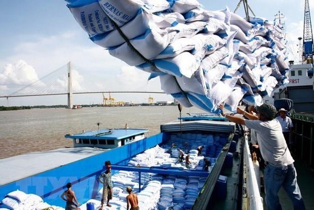 Avizora Vietnam oportunidad de exportar arroz a Egipto hinh anh 1