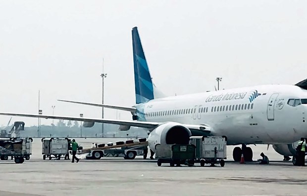 Comprara Aerolinea indonesia Garuda aviones de Airbus en sustitucion del Boeing 737 MAX hinh anh 1