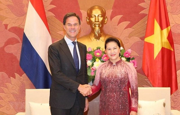 Presidenta parlamentaria se reune con el primer ministro neerlandes hinh anh 1
