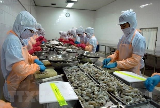 Exencion de aranceles antidumping de camaron vietnamita impulsara sus exportaciones a EE.UU. hinh anh 1