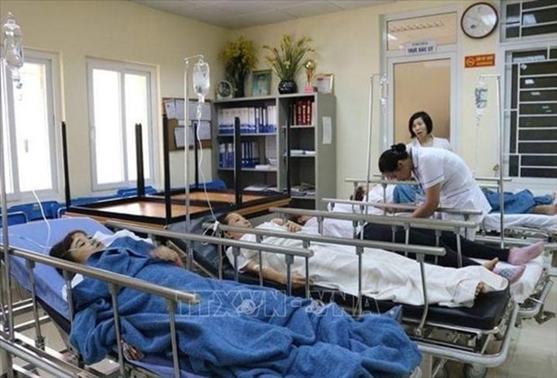 Capacitaran en Alemania a mas de 200 enfermeros vietnamitas hinh anh 1