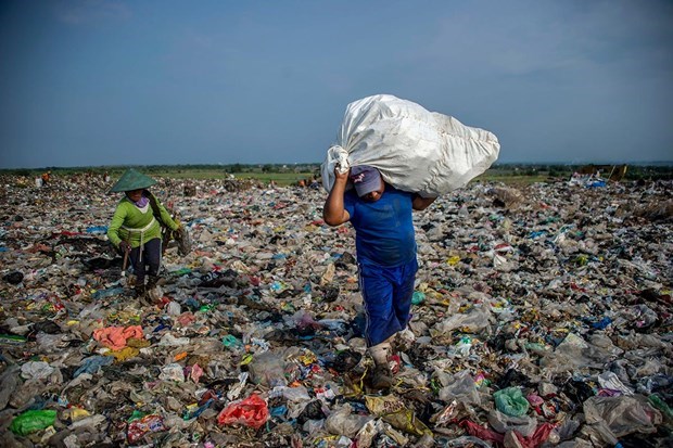 Paises de ASEAN entre mayores emisores de basuras plasticas a los oceanos hinh anh 1