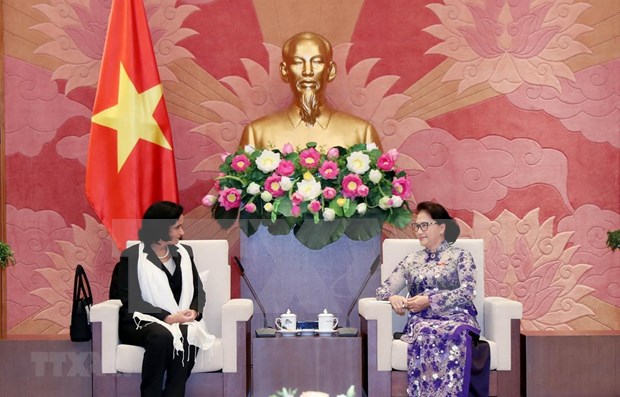 Presidenta de la Asamblea Nacional de Vietnam recibe a fiscal general de Cuba hinh anh 1