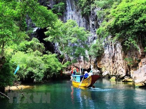 Destacan a Phong Nha-Ke Bang en Vietnam como el parque nacional mas diverso del Sudeste Asiatico hinh anh 2