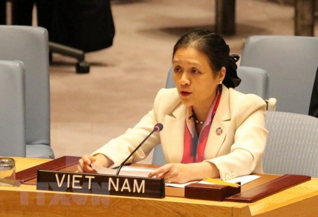 Destacan apoyo internacional a candidatura de Vietnam para el Consejo de Seguridad de la ONU hinh anh 1