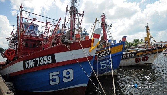 Prohibe Tailandia la captura de mariscos en sus aguas hinh anh 1