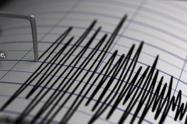 Terremoto de magnitud 7,3 sacude Indonesia hinh anh 1