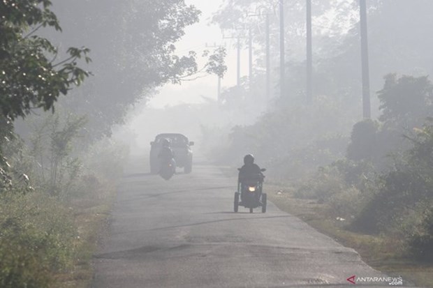 Destruyen incendios forestales en Indonesia mas de 30 mil hectareas de bosque hinh anh 1