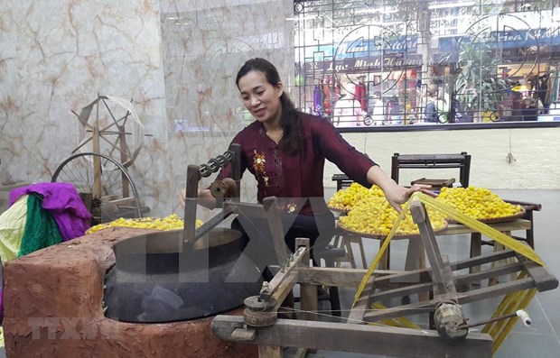 Seda y brocado, tesoro preservado y desarrollado en Vietnam hinh anh 1