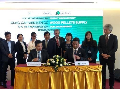 Impulsa empresa vietnamita exportacion de pellets de madera al mercado japones hinh anh 1