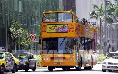 Refuerzan en Singapur regulaciones sobre vehiculos de movilidad personal hinh anh 1