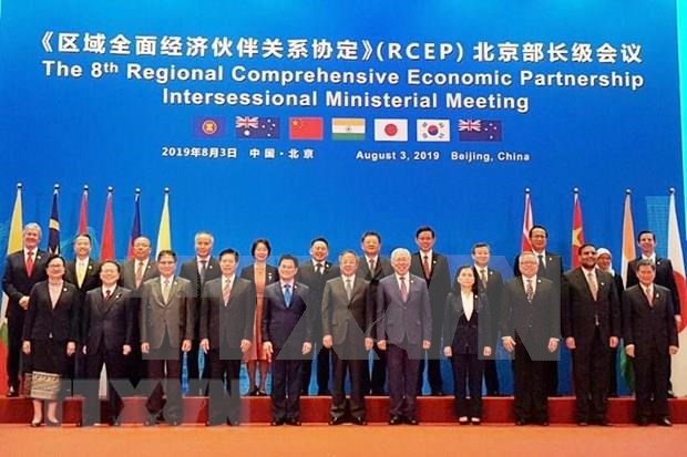 Avanzan paises de Asia-Pacifico con las negociaciones de RCEP hinh anh 1