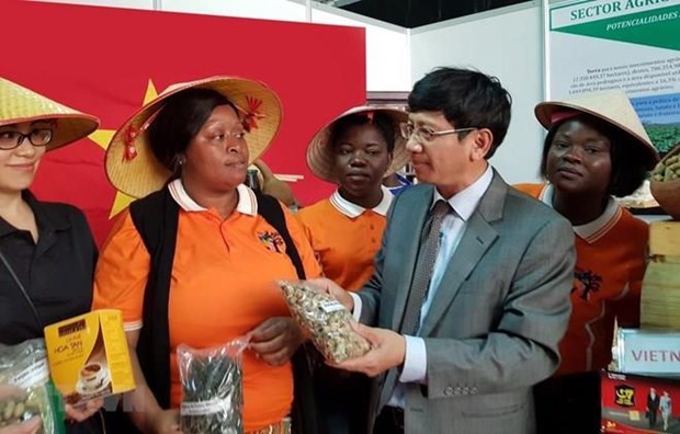 Productos vietnamitas caparan atencion del publico durante feria comercial en Mozambique hinh anh 1