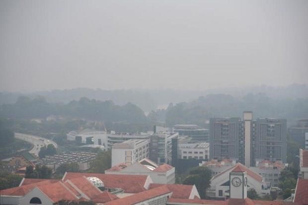 Calidad de aire en Singapur resulta insegura para salud humana por incendios en Indonesia hinh anh 1