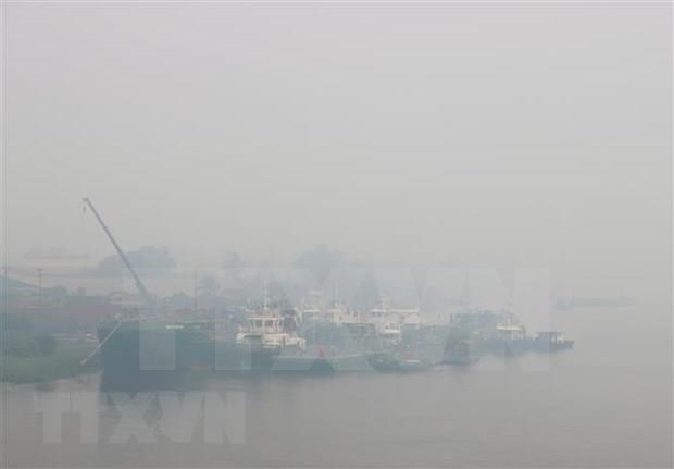 Suspenden actividades en Malasia y Singapur por humo de incendios forestales en Indonesia hinh anh 1