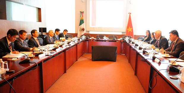 Realizan Vietnam y Mexico quinta consulta politica hinh anh 1