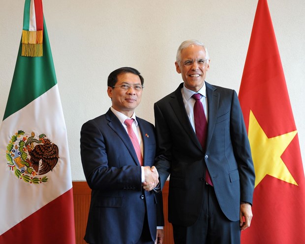 Realizan Vietnam y Mexico quinta consulta politica hinh anh 2