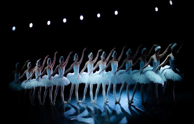 Presentaran artistas vietnamitas obra clasica de ballet “El lago de los cisnes” hinh anh 1