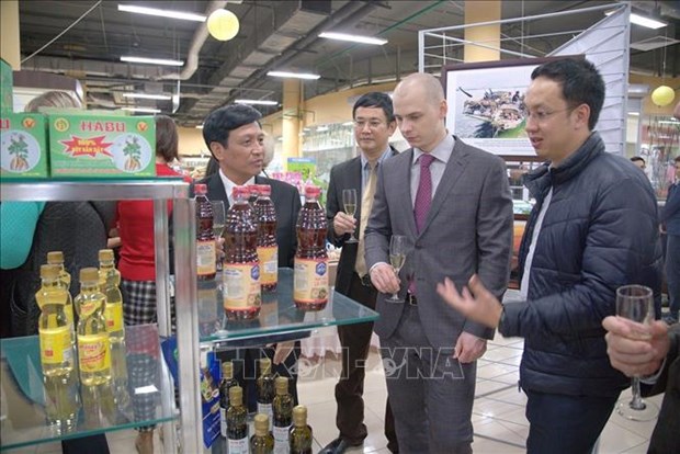 Promueven provincia vietnamita de Thanh Hoa y localidades rusas cooperacion economica hinh anh 1