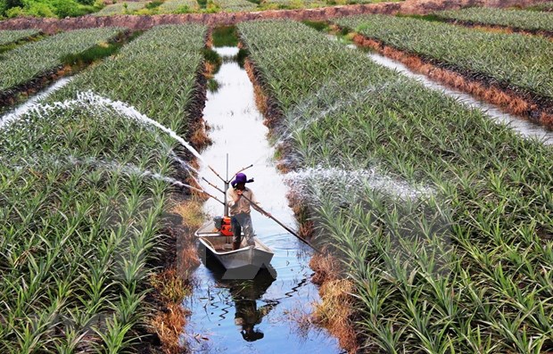 Estimulan el desarrollo agricola en la subregion Mekong- Lancang hinh anh 1