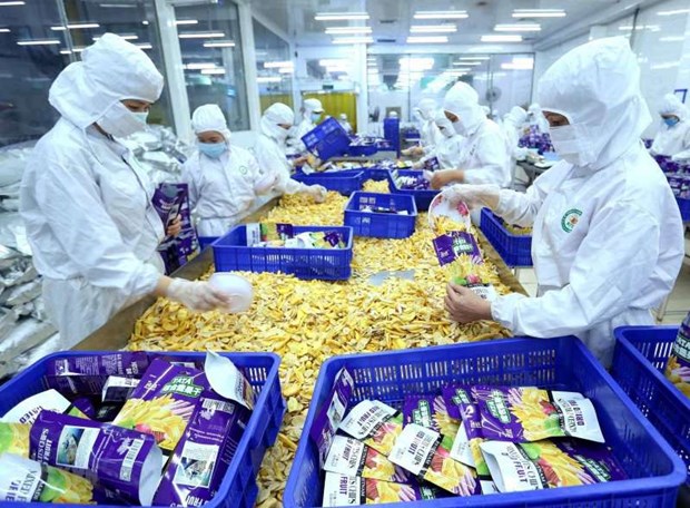Procesamiento alimentario de Vietnam goza de ventajas para atraccion de inversion hinh anh 1