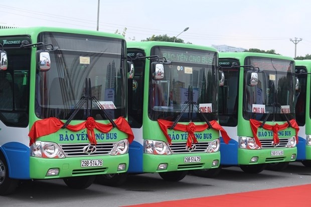 Ponen en servicio en Hanoi nuevas rutas de autobuses ecologicos hinh anh 1