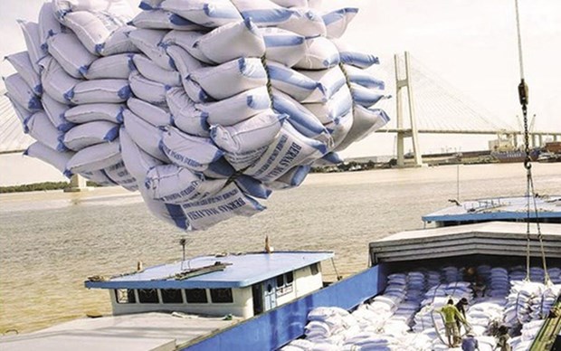 Ascendieron las ventas de arroz de Vietnam a 5,91 millones de toneladas en los primeros 11 meses de 2019 hinh anh 1