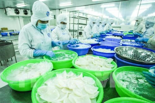 Aumentan exportaciones de Vietnam al mercado checo hinh anh 1