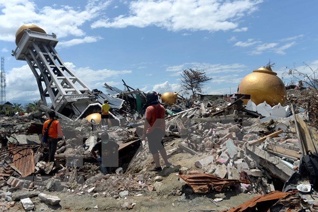 Sufre Indonesia mas de tres mil 700 desastres naturales en 2019 hinh anh 1