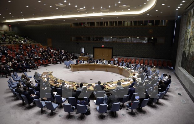Asumira Vietnam presidencia del Consejo de Seguridad de Naciones Unidas hinh anh 1