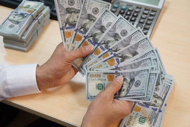 Registra Vietnam reserva de divisas multimillonaria hinh anh 1