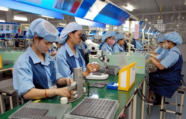 Sector privado- punto brillante de la economia de Vietnam hinh anh 1
