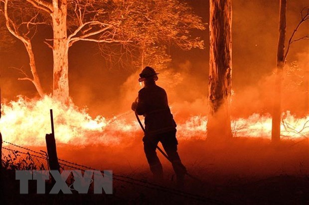 Vietnam envia condolencias a Australia por incendios forestales hinh anh 1