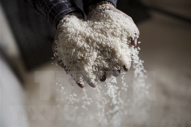 Enfrentaran exportaciones de arroz de Tailandia dificultades en 2020 hinh anh 1