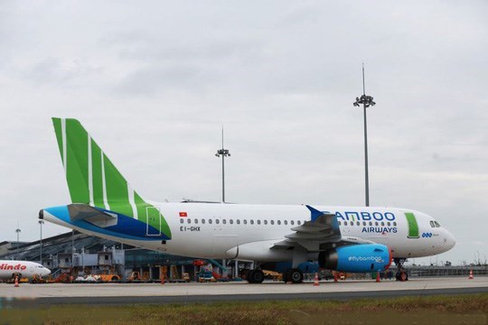 Obtiene Bamboo Airways ganancia de mas de 13 millones de USD en 2019 hinh anh 1