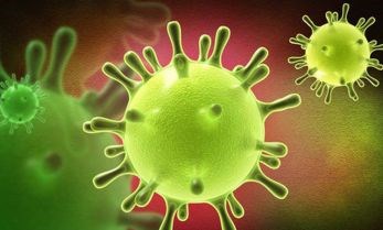 Tailandia detecta primer caso afectado por nuevo tipo de coronavirus hinh anh 1