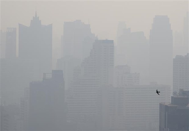 Tailandia se enfrasca en lucha contra polucion de aire hinh anh 1