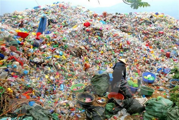 Contra la contaminacion de los oceanos por desechos plasticos hinh anh 1