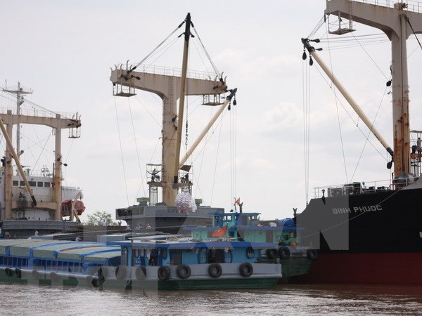 Apunta Vietnam a promover potencialidades de empresas navieras nacionales hinh anh 1