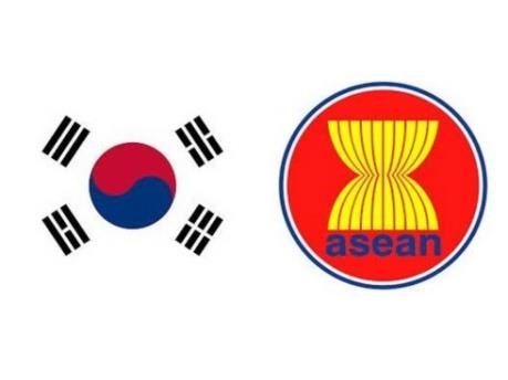 Efectuan en Busan foro de jovenes Corea del Sur- ASEAN hinh anh 1