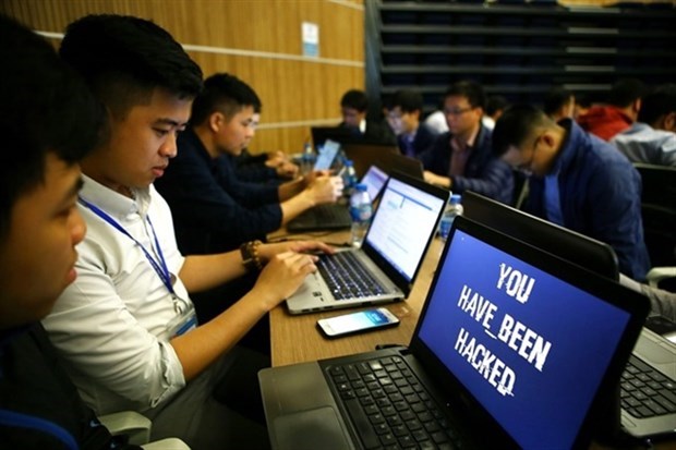 Virus informaticos provocan perdidas millonarias en Vietnam hinh anh 1