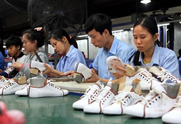 Futuro prometedor para la industria de calzado vietnamita en 2020 hinh anh 1