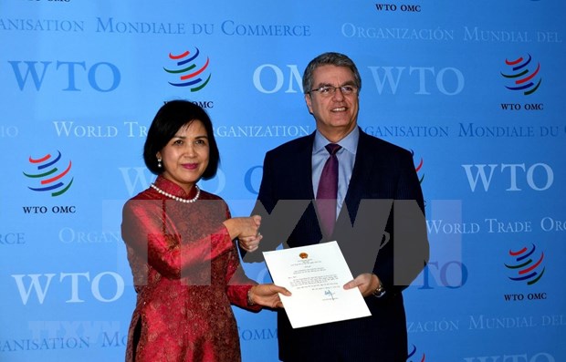Ratifica Vietnam su estrecha cooperacion con la OMC hinh anh 1